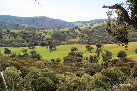 690 U T Creek Rd, Devils River, VIC 3714