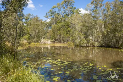 Property photo of 369 Counter Road Wolvi QLD 4570