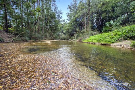 1562 Kalang Rd, Kalang, NSW 2454