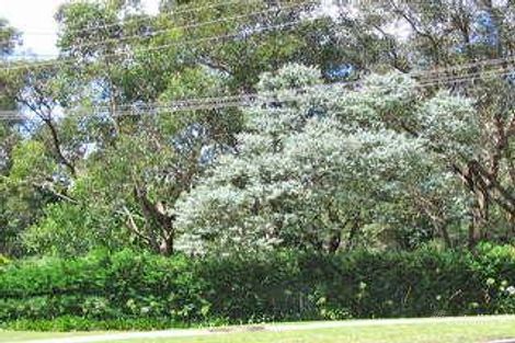 15 Scott Ave, Leura, NSW 2780