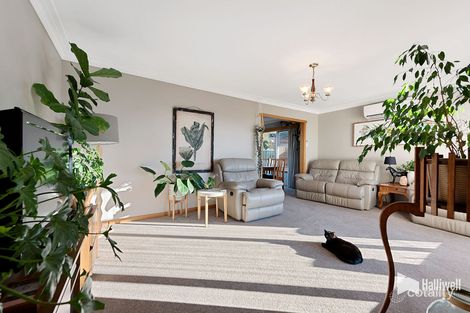 Property photo of 51 North Street Devonport TAS 7310