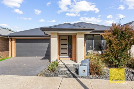 Property photo of 19 Mulberry Street Armstrong Creek VIC 3217