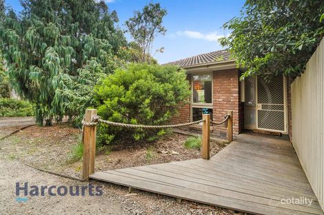 Property photo of 3 Sanderling Crescent Mornington VIC 3931