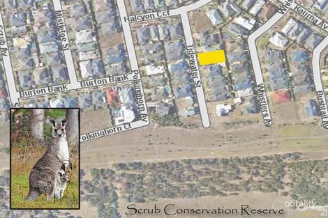 Property photo of 7 Tidewater Street Aldinga Beach SA 5173