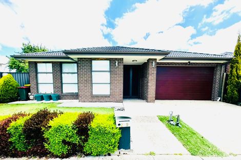 229 Newbury Bvd, Craigieburn, VIC 3064