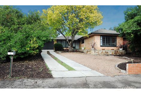 Property photo of 8 Norwich Avenue Burnside SA 5066