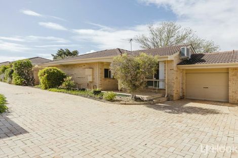 Property photo of 7/298 Albert Street Balcatta WA 6021
