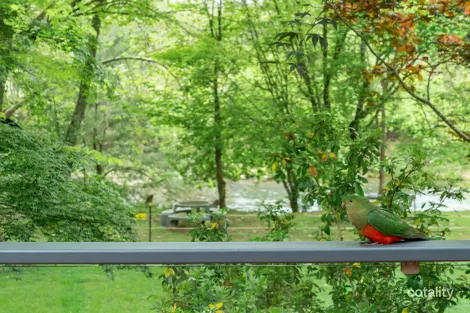 4124 Mansfield-Woods Point Rd, Jamieson, VIC 3723