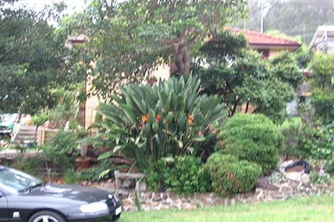 Property photo of 17 Swain Crescent Dapto NSW 2530