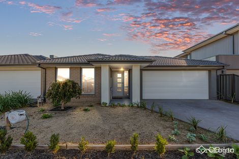 Property photo of 5 Merlot Way Clyde North VIC 3978