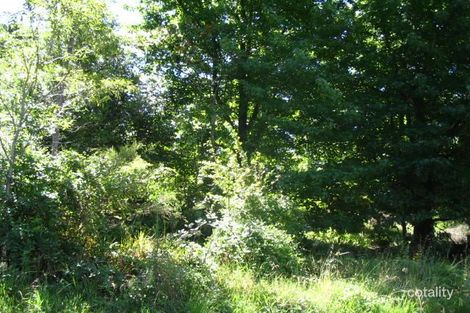 20 Winbourne Rd, Hazelbrook, NSW 2779