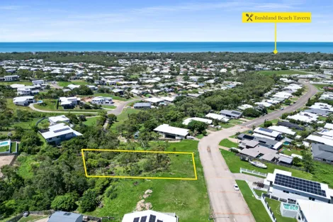 Property photo of 46 Goicoechea Drive Bushland Beach QLD 4818