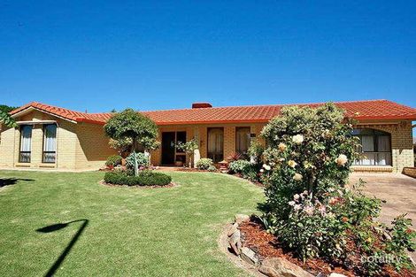 43 Volare Ave, Para Vista, SA 5093