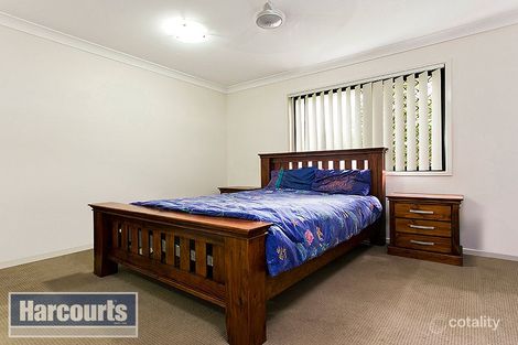 Property photo of 16 Rivulet Place Bellmere QLD 4510