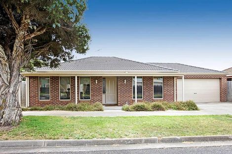 13 Johnson St, Belmont, VIC 3216