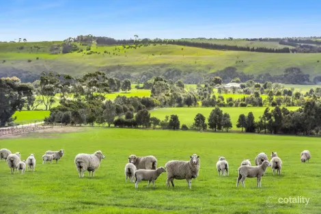 Property photo of 223 Bakers Road Russells Bridge VIC 3331
