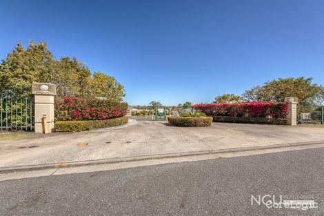 Property photo of 42/67 Cascade Street Raceview QLD 4305