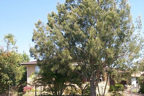 29 Tingira Tce, Scarness, QLD 4655