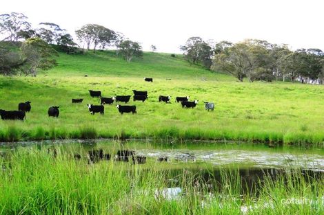 1310 Maybole Rd, Ben Lomond, NSW 2365