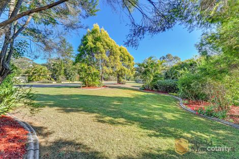 Property photo of 3 Brushbox Place Walloon QLD 4306