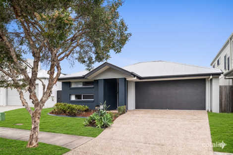 8 Kite St, Mountain Creek, QLD 4557