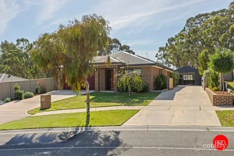 Property photo of 1 Dexter Street Ascot VIC 3551