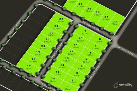 Property photo of 29 Tussock Drive White Hills VIC 3550