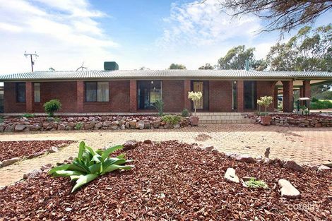 Property photo of 352 Alexander Avenue Bibaringa SA 5118