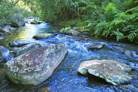 Property photo of 289 Mullins Road Beatrice QLD 4886