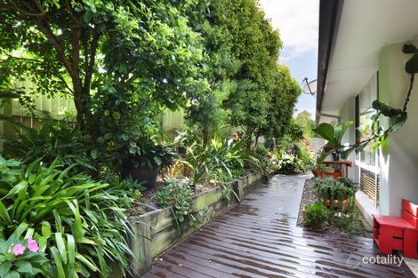 Property photo of 14 Sandhurst Crescent Peregian Springs QLD 4573