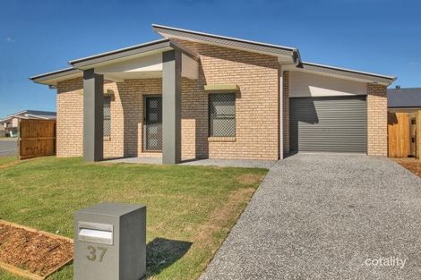 Property photo of 37 Carew Street Yarrabilba QLD 4207