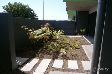 Property photo of 2/1 Amity Avenue Maroochydore QLD 4558