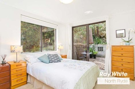 Property photo of 86/106 Crimea Road Marsfield NSW 2122