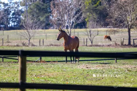Property photo of 28 Roches Road Trafalgar VIC 3824