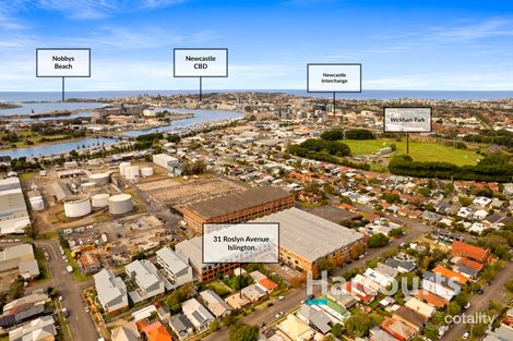 Property photo of 31 Roslyn Avenue Islington NSW 2296