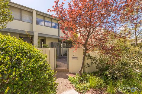 Property photo of 43/29 Pethebridge Street Pearce ACT 2607