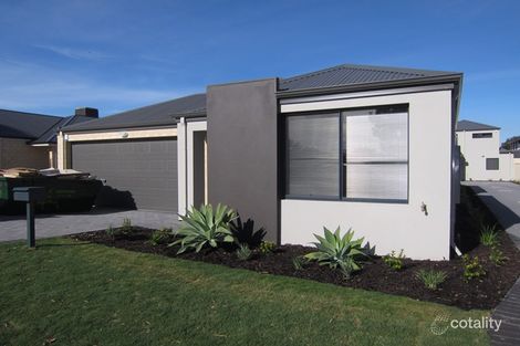 10a Page Ave, Bentley, WA 6102