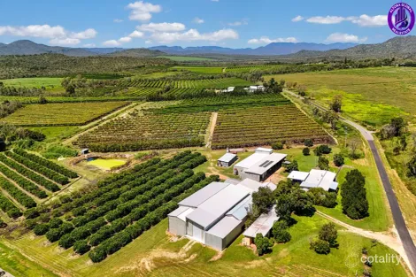 119 Mcleod Rd, Mutchilba, QLD 4872