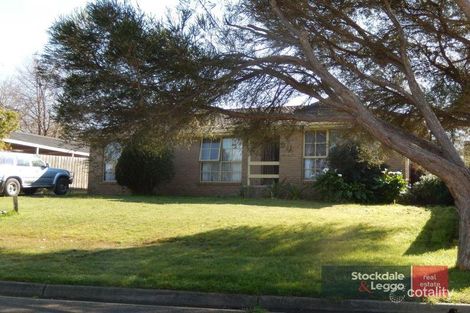 Property photo of 19 Claire Street Coldstream VIC 3770