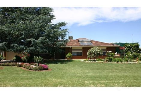 53 Marraboor St, Lake Boga, VIC 3584