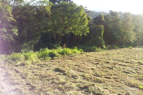 Property photo of 339 Blackall Range Road West Woombye QLD 4559