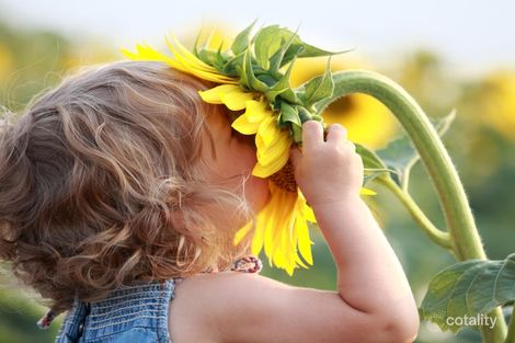 Lot 512 Ajana Dr, Marbelup, WA 6330