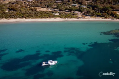 Property photo of 554 Killiecrankie Road Killiecrankie TAS 7255