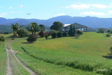 Property photo of 276 Euluma Creek Road Julatten QLD 4871