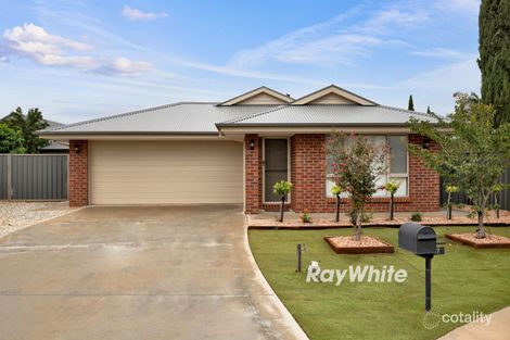 Property photo of 7 Ella-Mae Court Red Cliffs VIC 3496