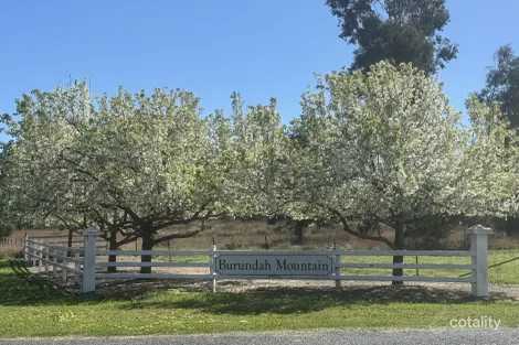 12 Ironbark Dr, Warialda, NSW 2402