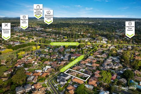 Property photo of 6 Service Road Blackburn VIC 3130