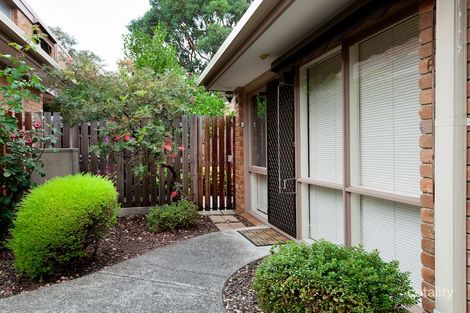 Property photo of 6/2A Kireep Road Balwyn VIC 3103