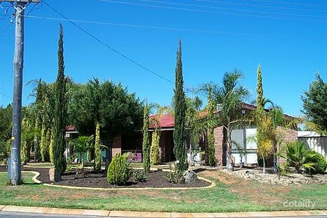 9 Irene Pl, Beldon, WA 6027