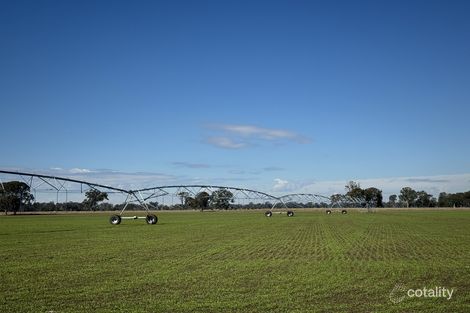 665 Airport Rd, Three Moon, QLD 4630